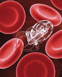 nanobot in the bloodstream